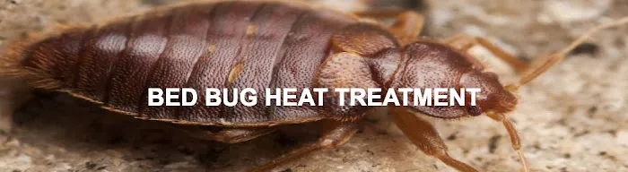 Bowco Labs Pest Control Bloomfield, NJ Picture 1