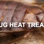 Bowco Labs Pest Control Bloomfield, NJ