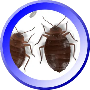 Bowco Labs Pest Control Bloomfield, NJ Picture 4