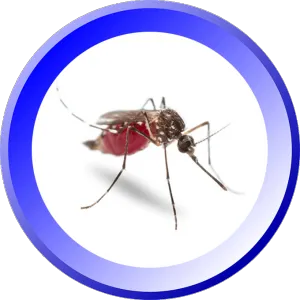 Bowco Labs Pest Control Bloomfield, NJ Picture 7