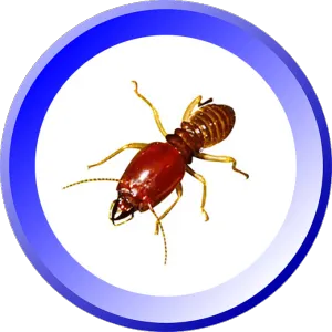 Bowco Labs Pest Control Bloomfield, NJ Picture 5