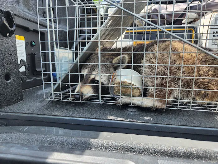 Recon Pest Control Inc Picture 6