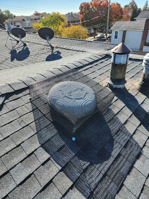 Recon Pest Control Inc Picture 8