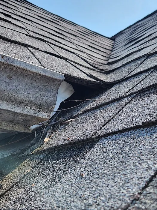 Recon Pest Control Inc Picture 9