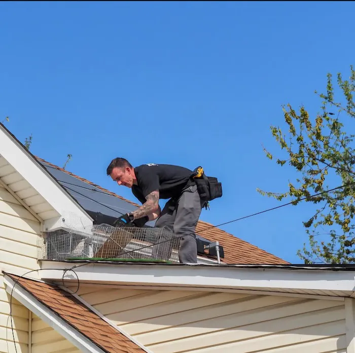 Recon Pest Control Inc Picture 2