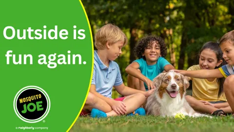 Mosquito Joe of Morristown-Montclair Picture 3