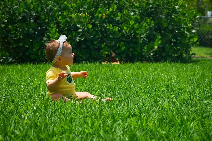 Mosquito Joe of Morristown-Montclair Picture 2