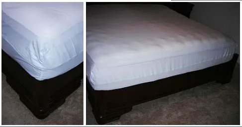 BHB Pest Elimination, LLC Picture 1