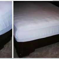 BHB Pest Elimination, LLC ico