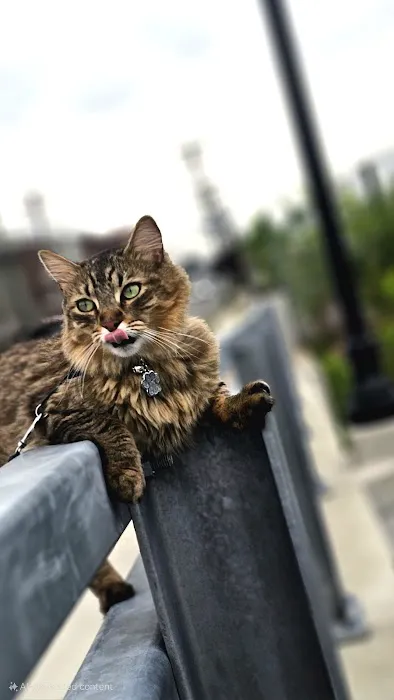 BHB Pest Elimination, LLC Picture 10