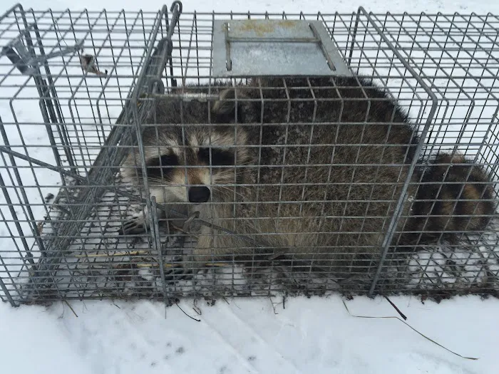 Sam The Bug Man NJ Picture 1