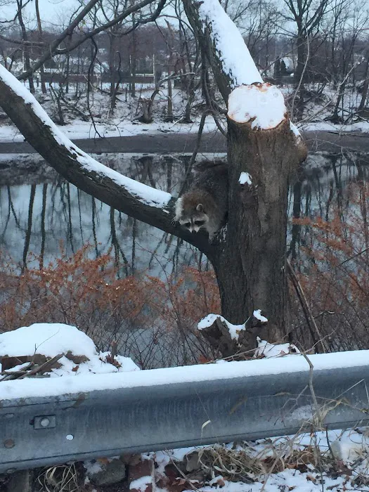 Sam The Bug Man NJ Picture 5