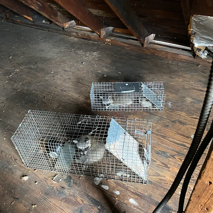 All Garden State Pest Control Picture 10