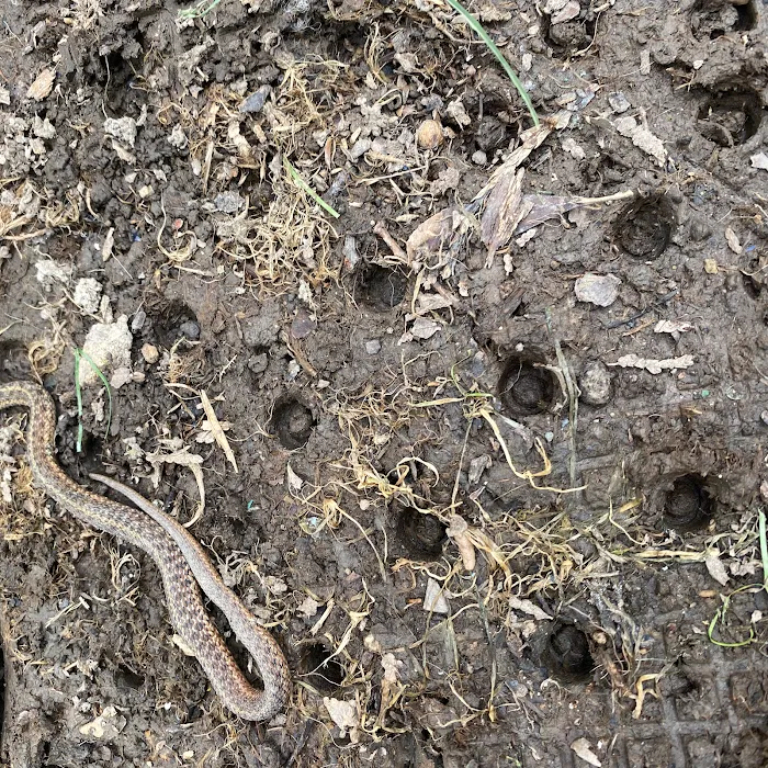 All Garden State Pest Control Picture 2