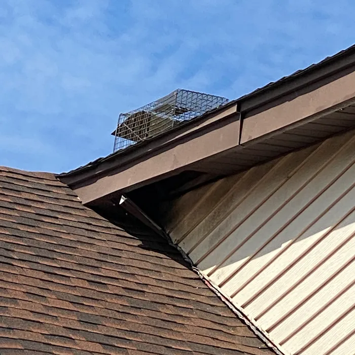 All Garden State Pest Control Picture 9