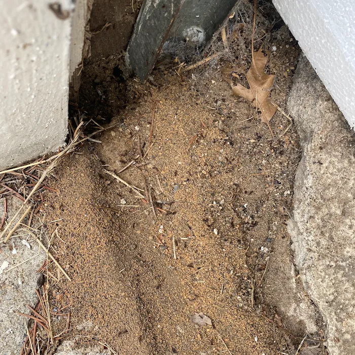 All Garden State Pest Control Picture 3