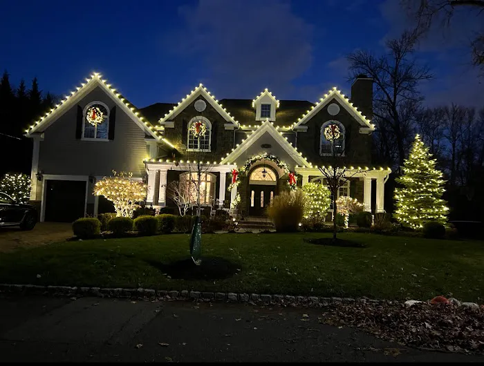 Knock Em Dead Pest Control Picture 1