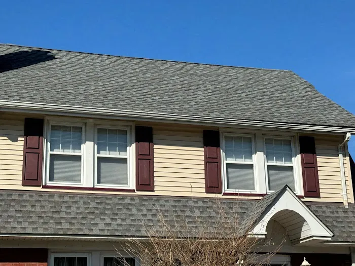 Knock Em Dead Pest Control Picture 7