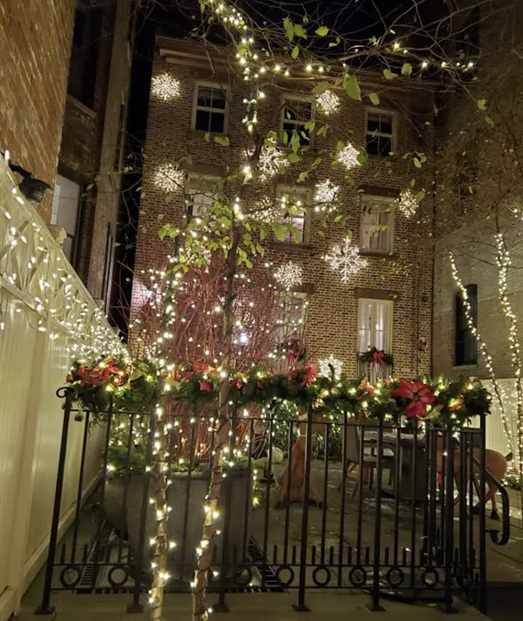 Knock Em Dead Pest Control Picture 4