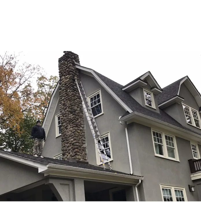 Knock Em Dead Pest Control Picture 3