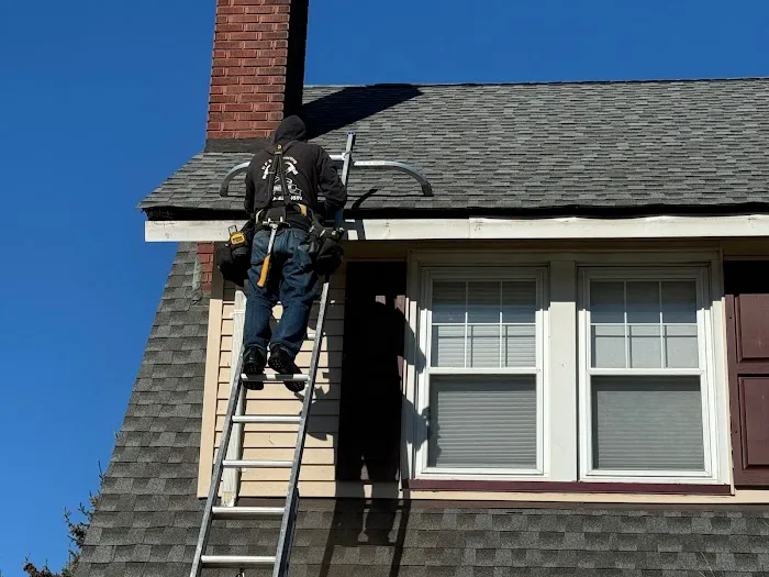 Knock Em Dead Pest Control Picture 5