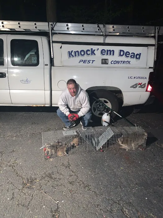 Knock Em Dead Pest Control Picture 2