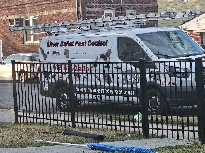 Silver Bullet Pest Control Picture 4