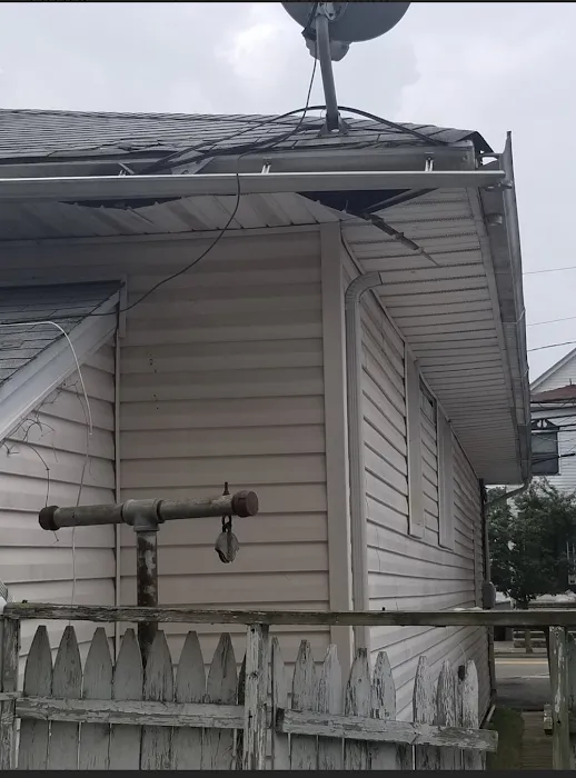 Silver Bullet Pest Control Picture 3