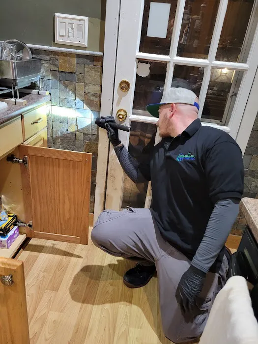 Gaia Pest Control Picture 8