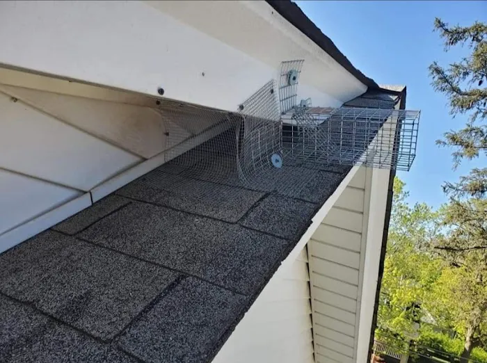 Gaia Pest Control Picture 5