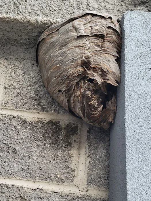 Gaia Pest Control Picture 6