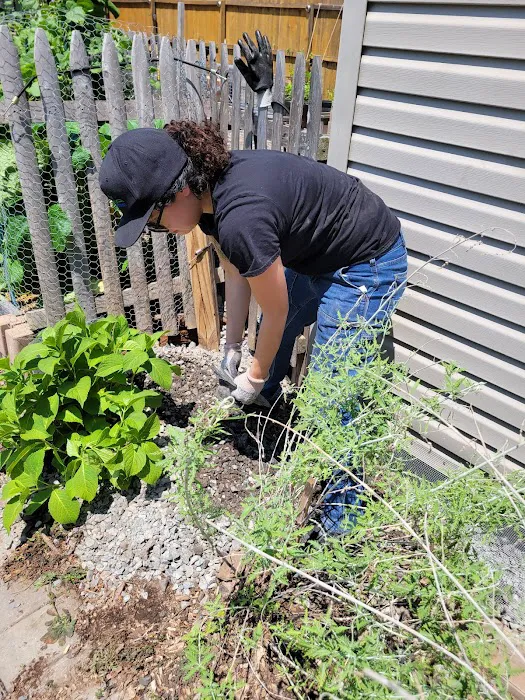 Gaia Pest Control Picture 7