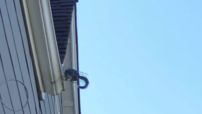 ALCO Animal & Pest Control Picture 7