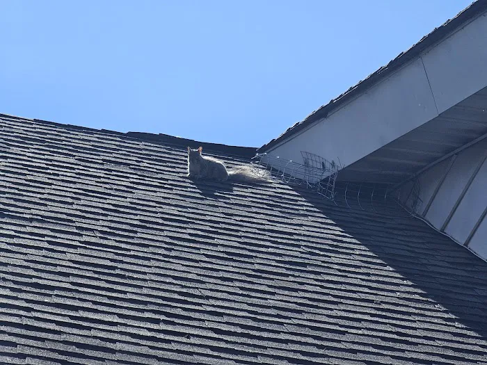 ALCO Animal & Pest Control Picture 4