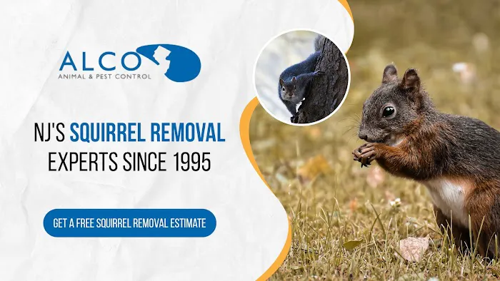 ALCO Animal & Pest Control Picture 2