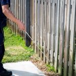 Lodi Exterminator At Last Pest Control
