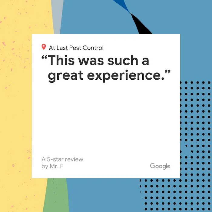 Lodi Exterminator At Last Pest Control Picture 8