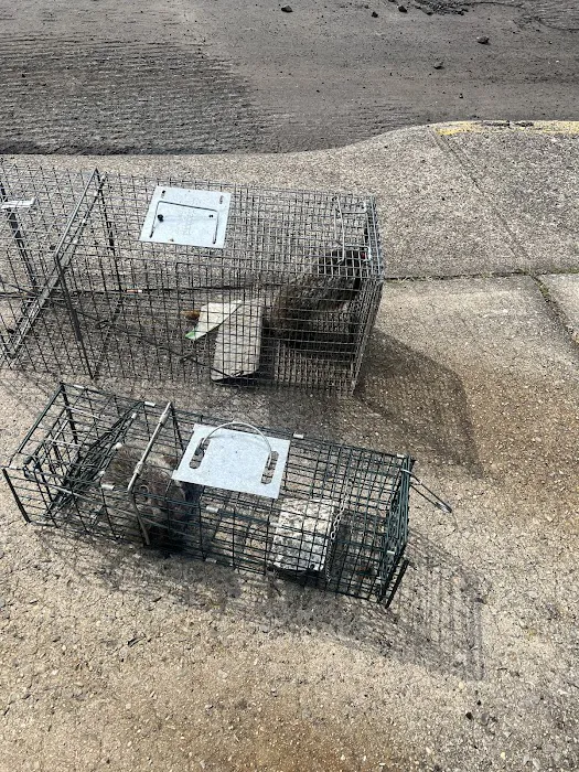 Lodi Exterminator At Last Pest Control Picture 6