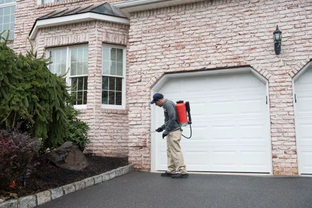 Viking Pest Control Picture 7