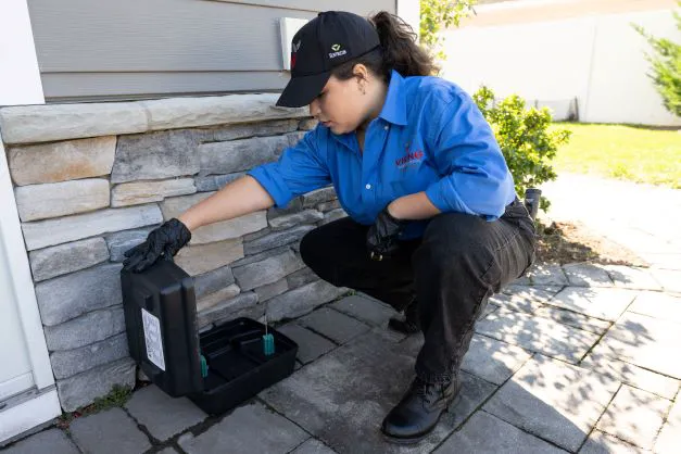 Viking Pest Control Picture 2