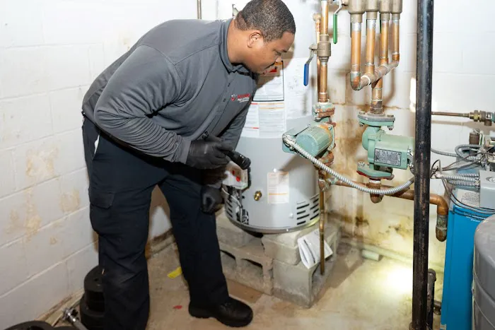 Viking Pest Control Picture 9