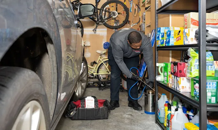 Viking Pest Control Picture 5