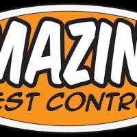 Amazing Pest Control ico
