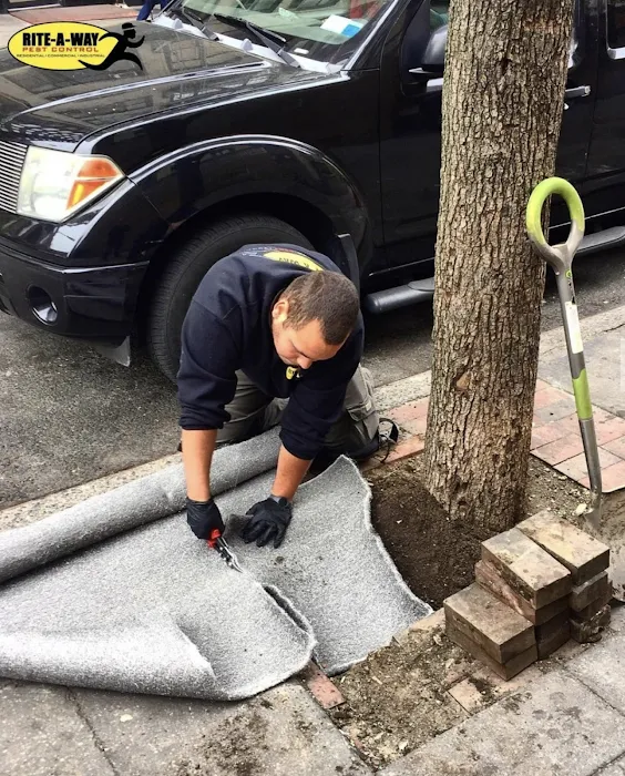 Rite-A-Way Pest Control Picture 4