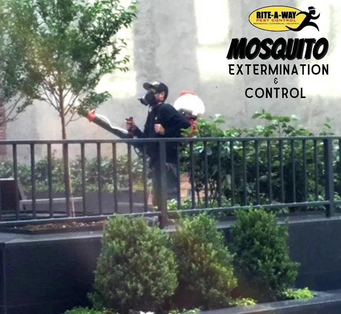 Rite-A-Way Pest Control Picture 10