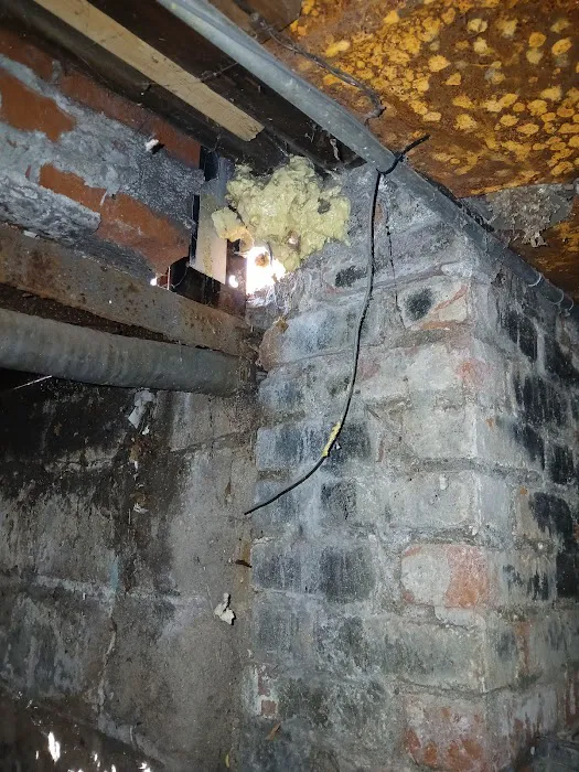 Infestation Protection Pest Control Picture 9