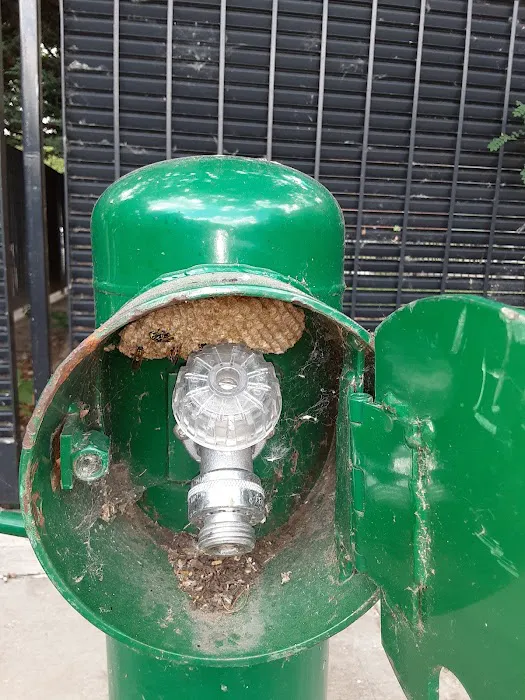 Infestation Protection Pest Control Picture 3