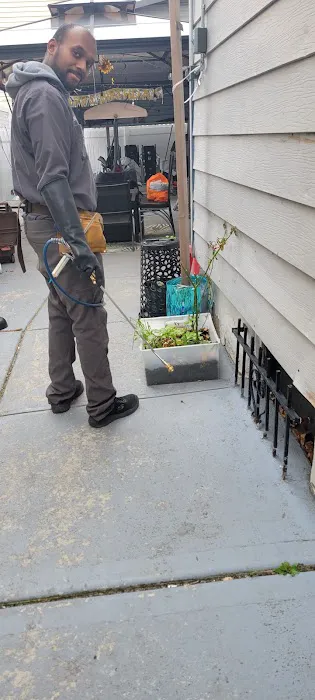 Infestation Protection Pest Control Picture 2