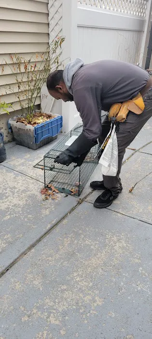 Infestation Protection Pest Control Picture 1