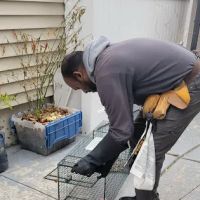 Infestation Protection Pest Control ico